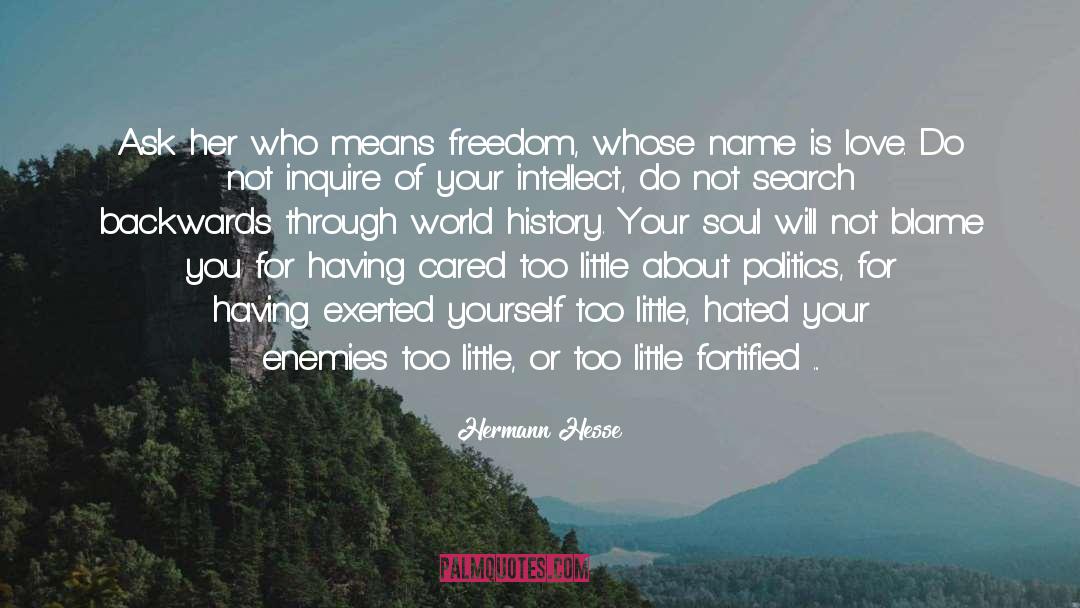 World History quotes by Hermann Hesse