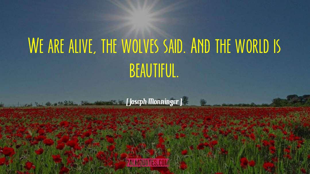 World Is Beautiful quotes by Joseph Monninger