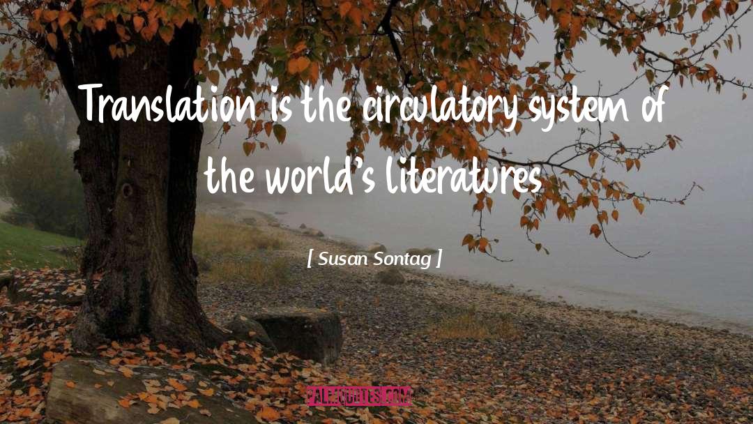 World Literature quotes by Susan Sontag