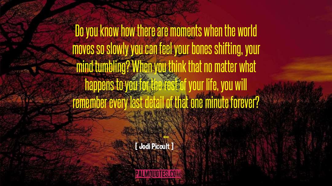 World Moves quotes by Jodi Picoult