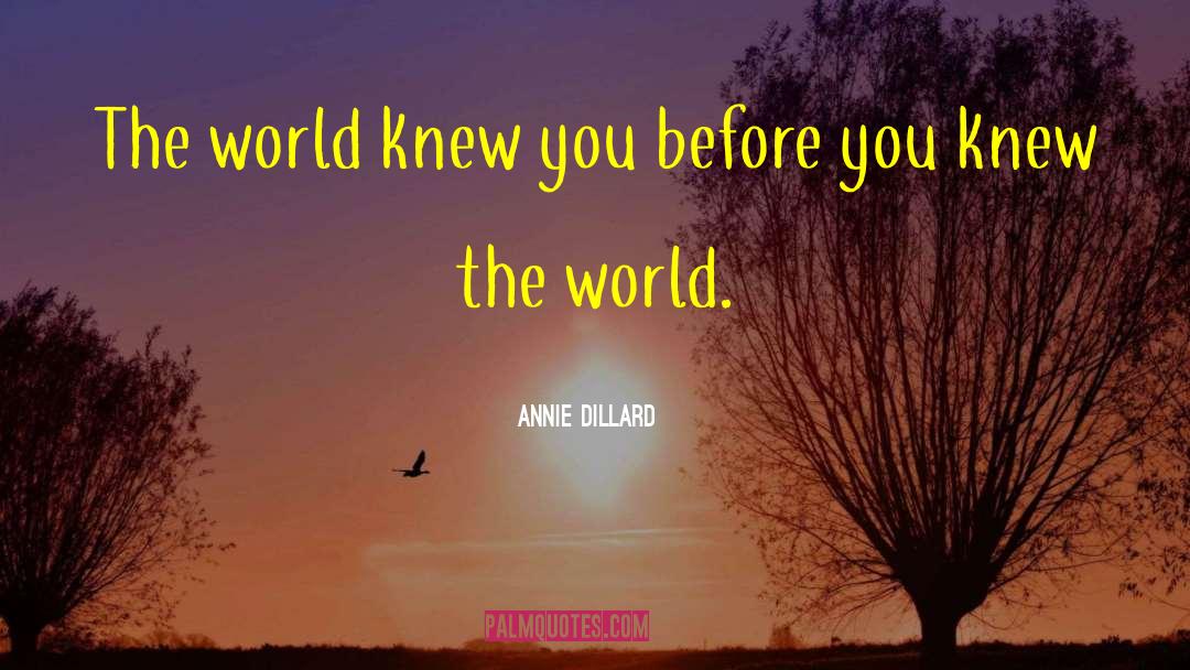 World Moves quotes by Annie Dillard