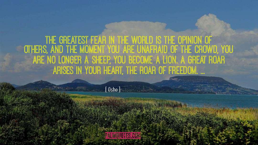 World Opinion quotes by Osho