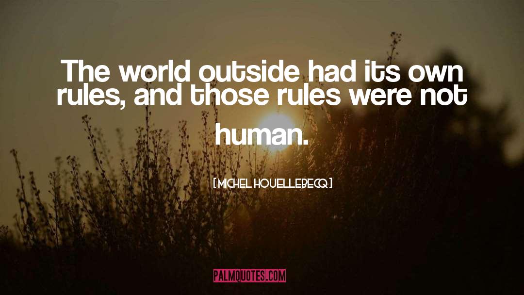 World Outside quotes by Michel Houellebecq