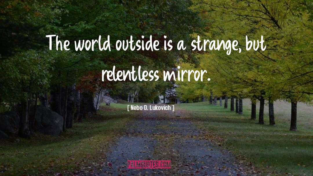 World Outside quotes by Nebo D. Lukovich