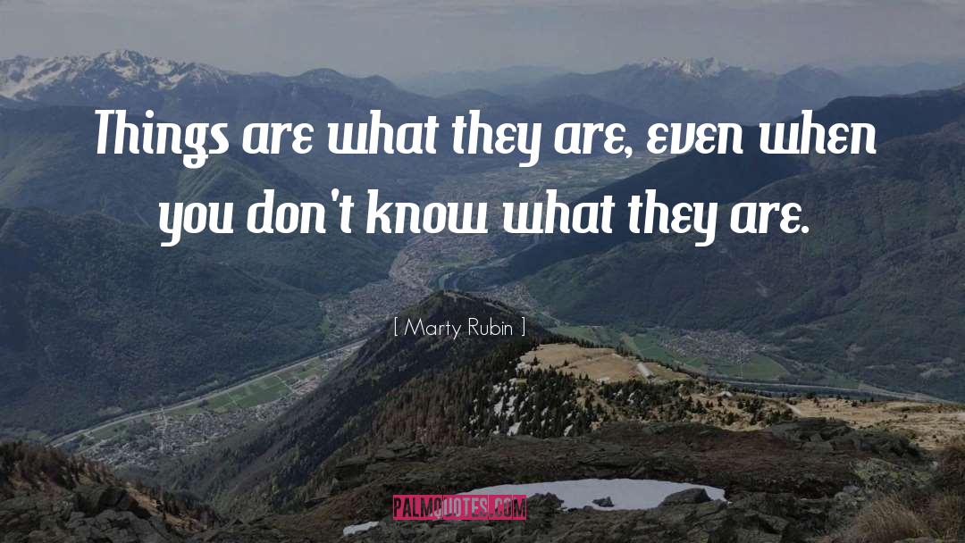 World Poverty quotes by Marty Rubin