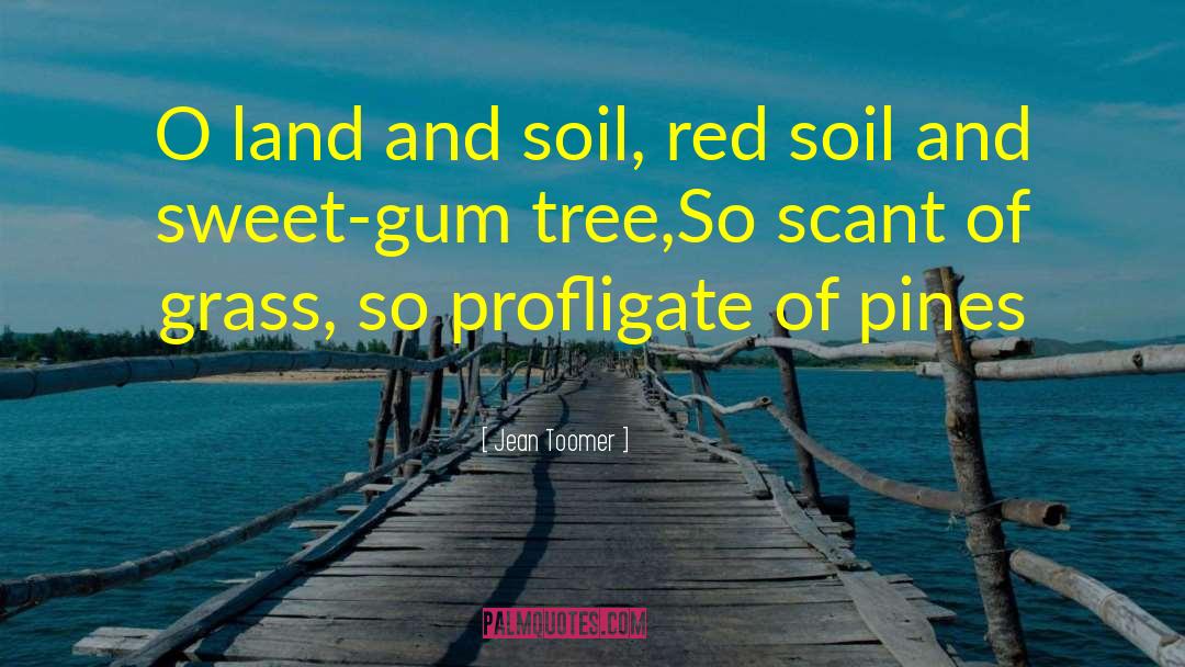 World Soil Day 2020 quotes by Jean Toomer