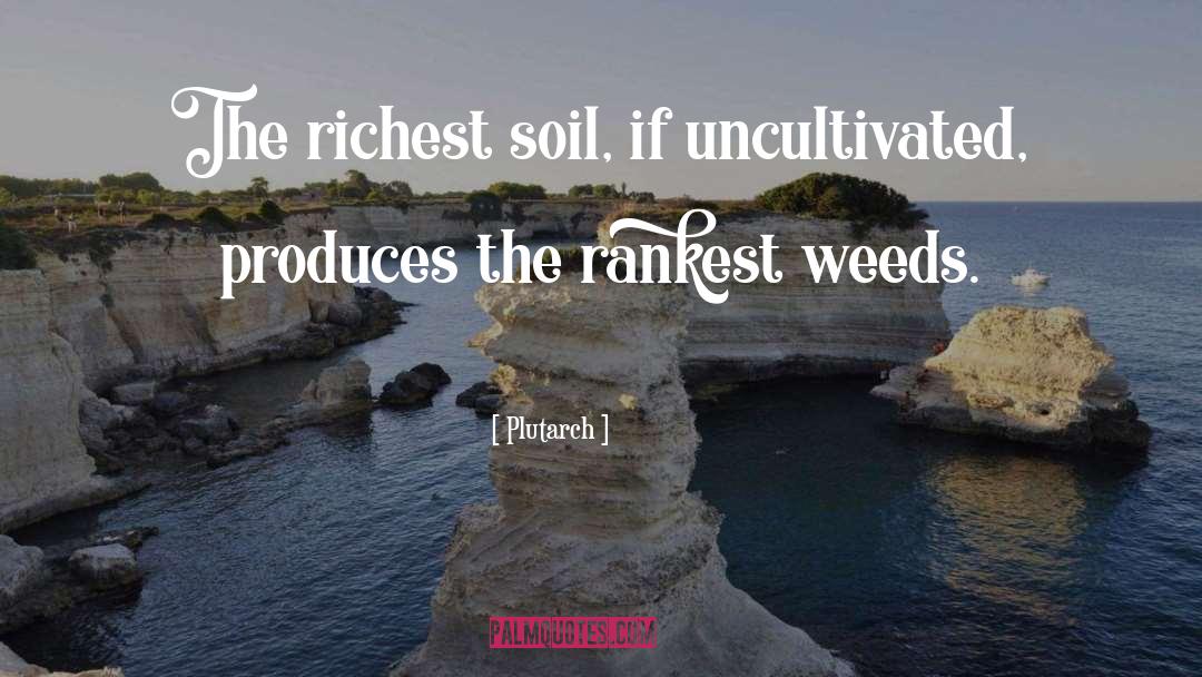 World Soil Day 2020 quotes by Plutarch