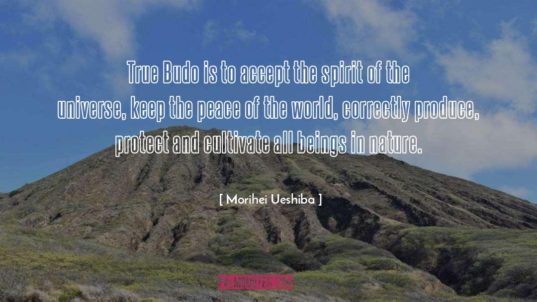 World Spirit quotes by Morihei Ueshiba