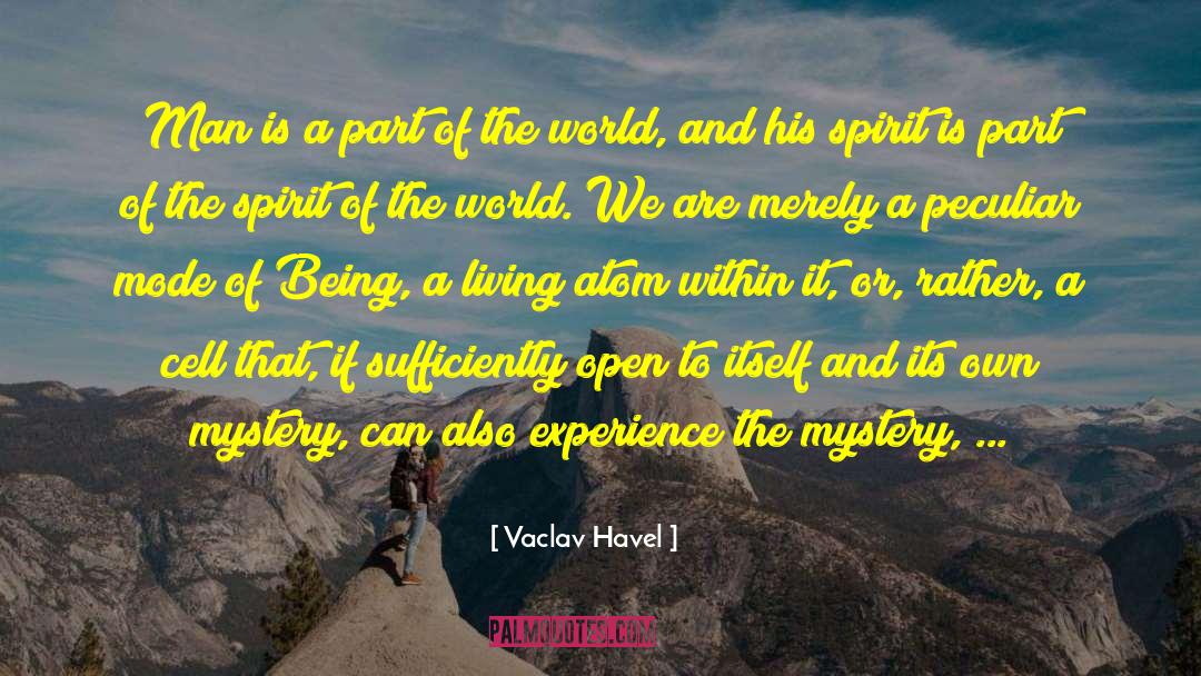 World Spirit quotes by Vaclav Havel