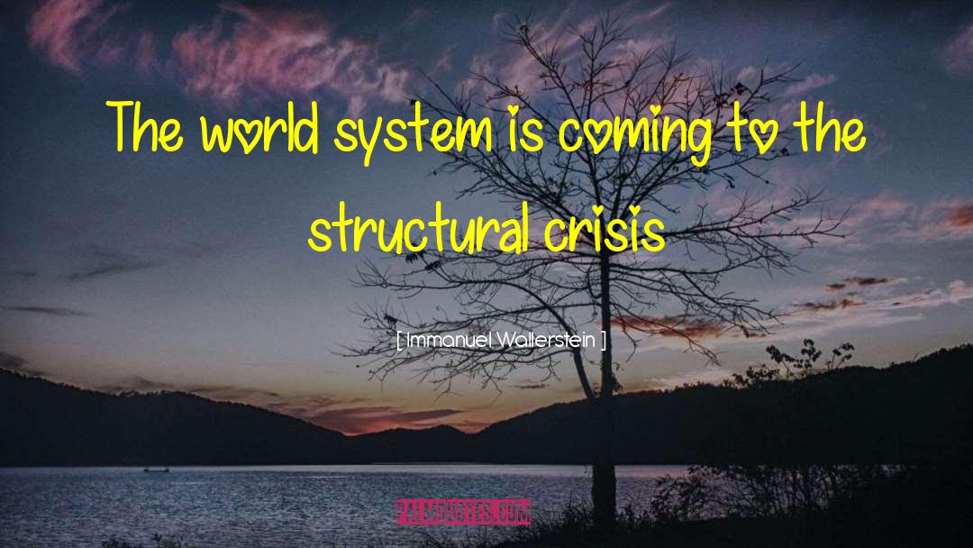 World System quotes by Immanuel Wallerstein