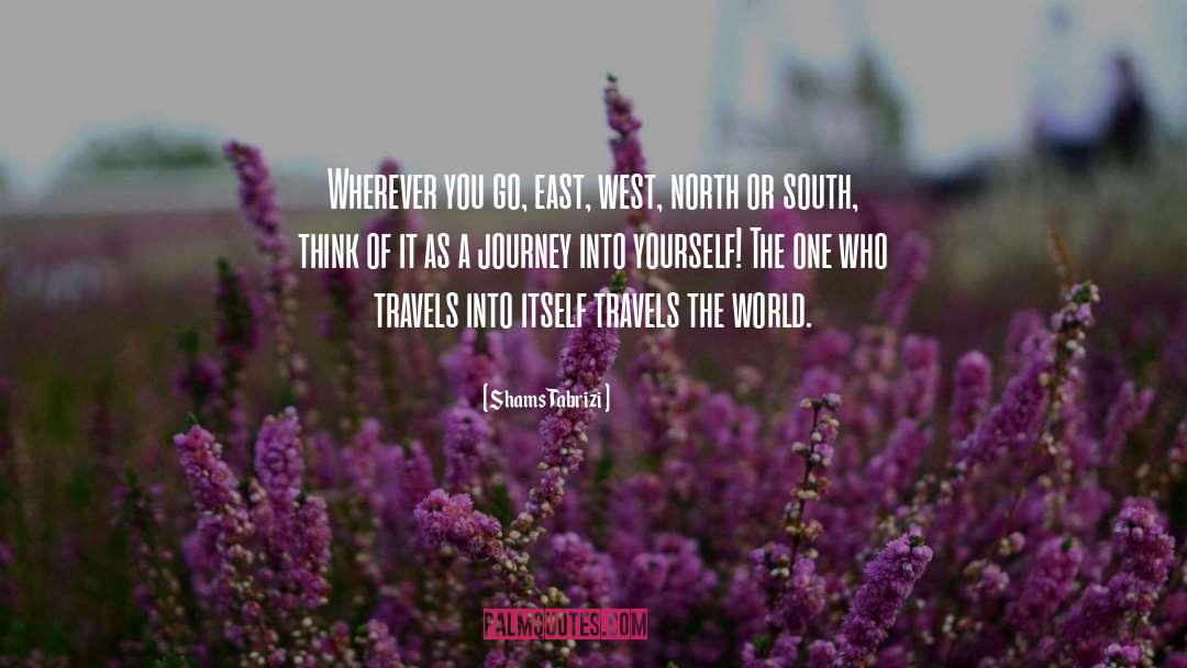 World Travel quotes by Shams Tabrizi