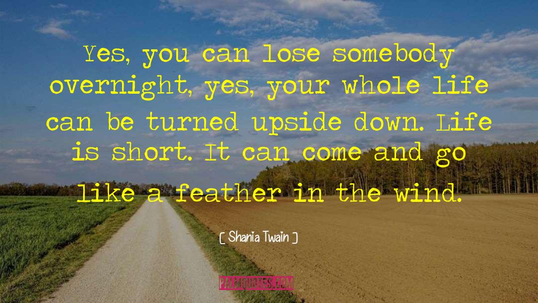 World Upside Down quotes by Shania Twain