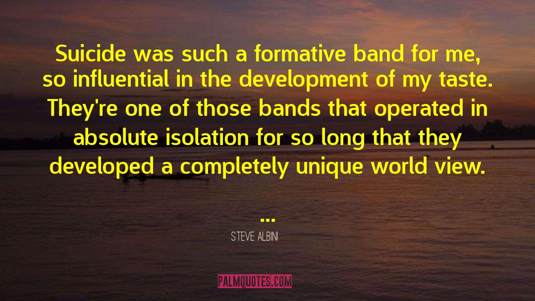 World View quotes by Steve Albini