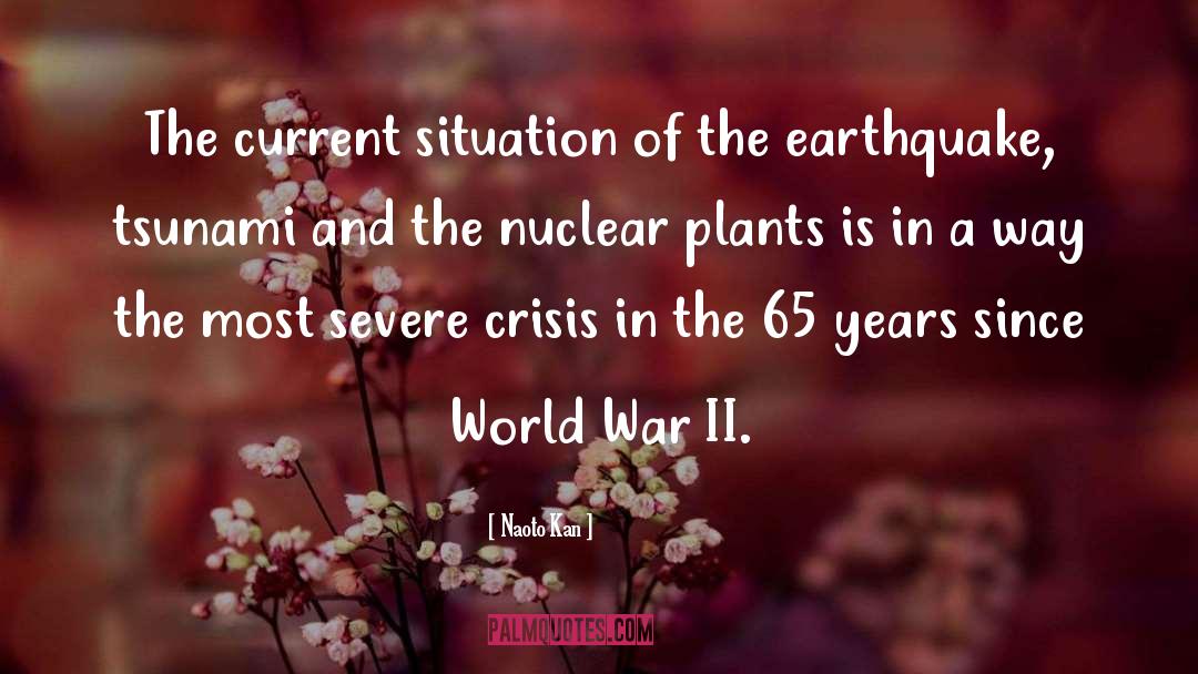 World War I quotes by Naoto Kan