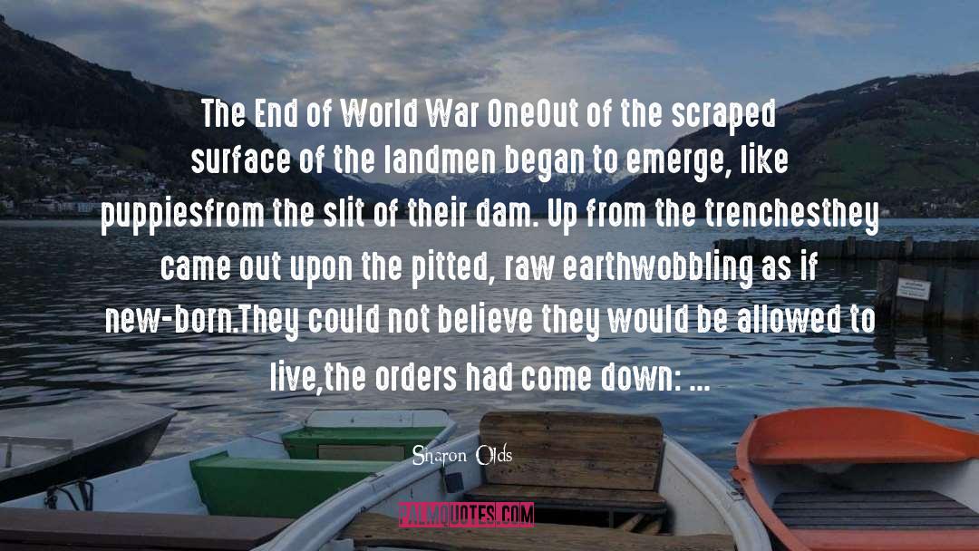 World War quotes by Sharon Olds