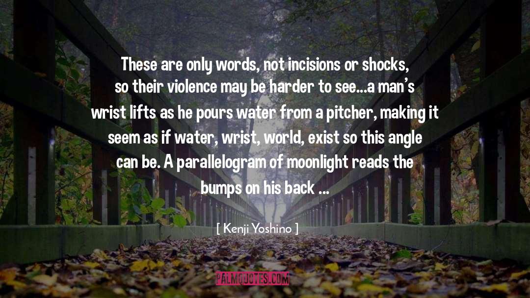World Water Day quotes by Kenji Yoshino