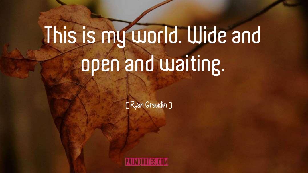 World Wide Web quotes by Ryan Graudin