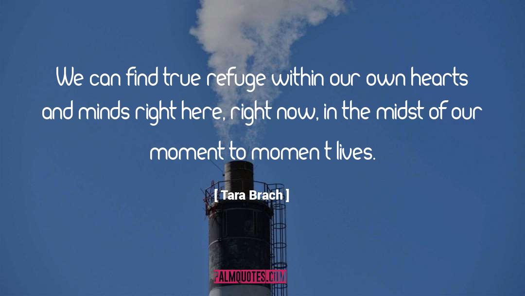 World Within Our Own Mind quotes by Tara Brach