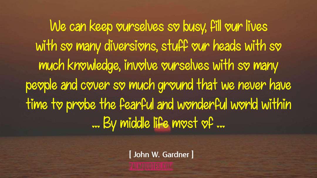 World Within quotes by John W. Gardner