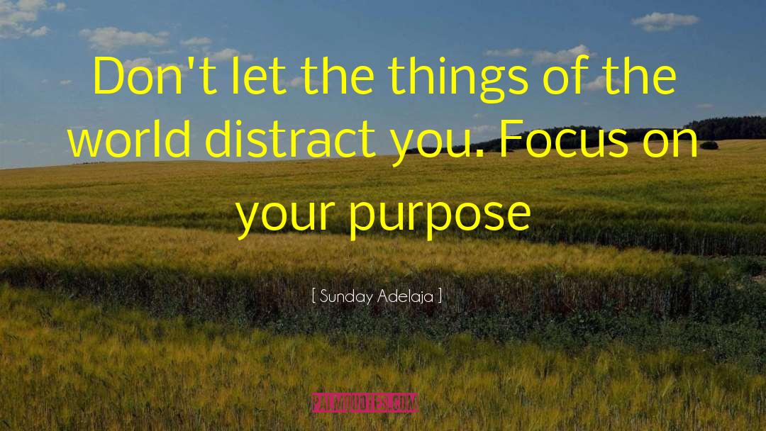 Worldly Distractions quotes by Sunday Adelaja