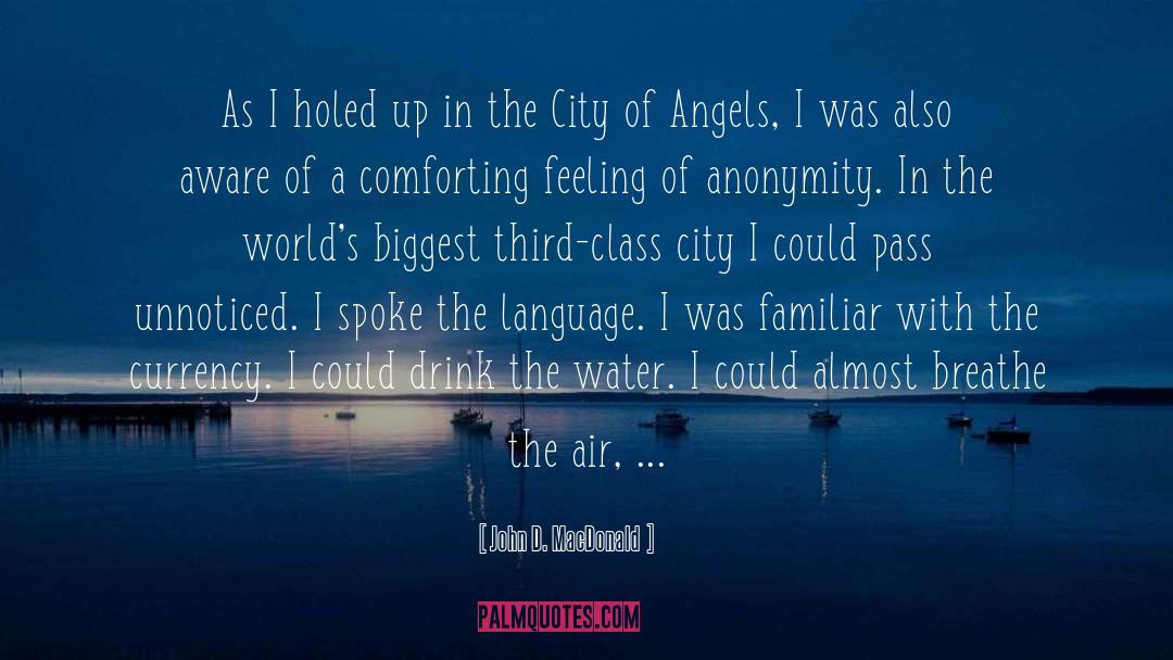 Worlds Biggest Plane quotes by John D. MacDonald