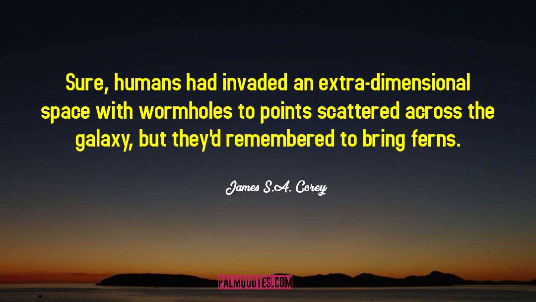 Wormholes quotes by James S.A. Corey