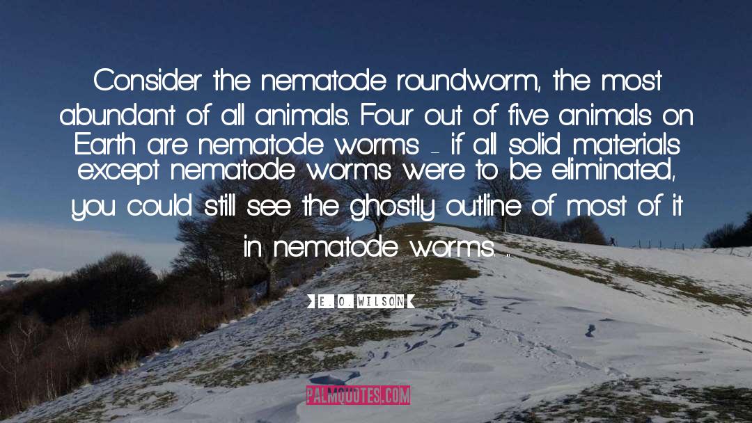 Worms Armageddon quotes by E. O. Wilson