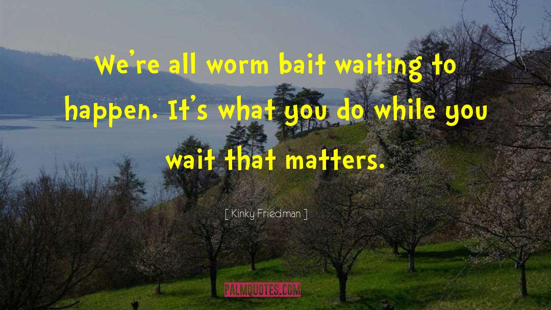 Worms Armageddon quotes by Kinky Friedman