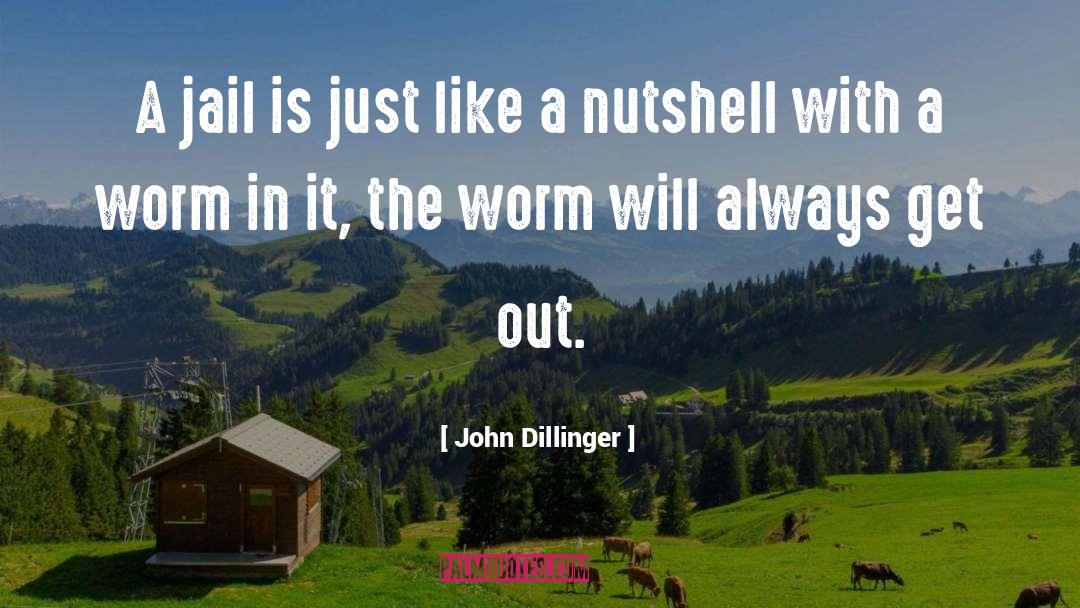Worms quotes by John Dillinger