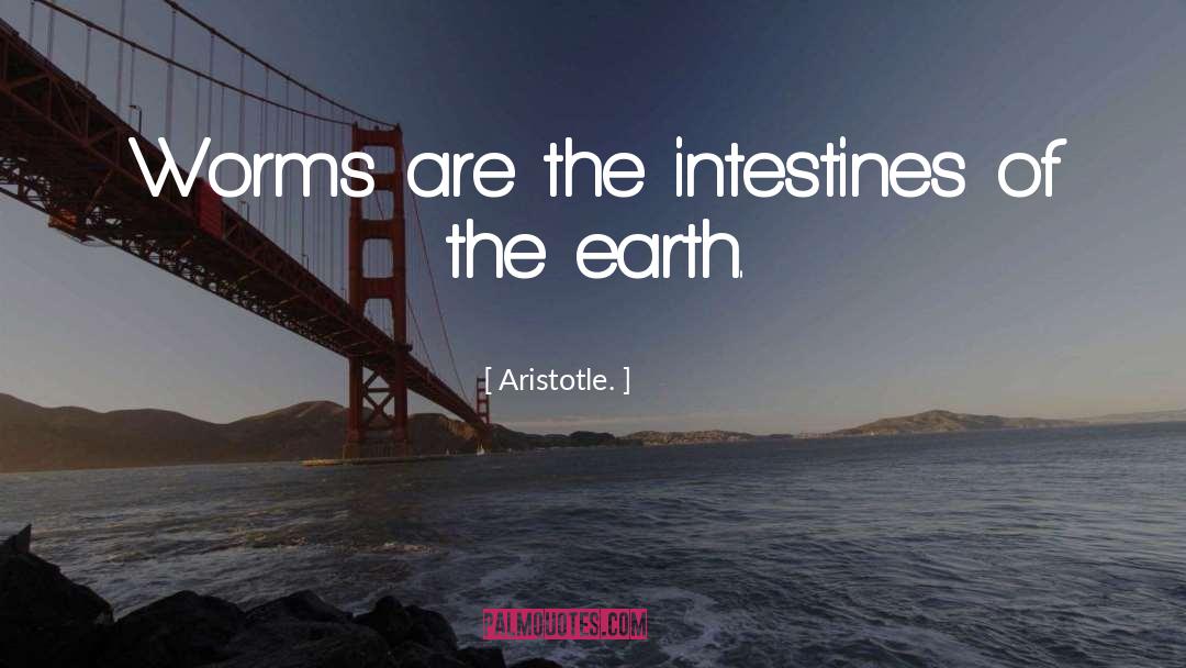 Worms quotes by Aristotle.