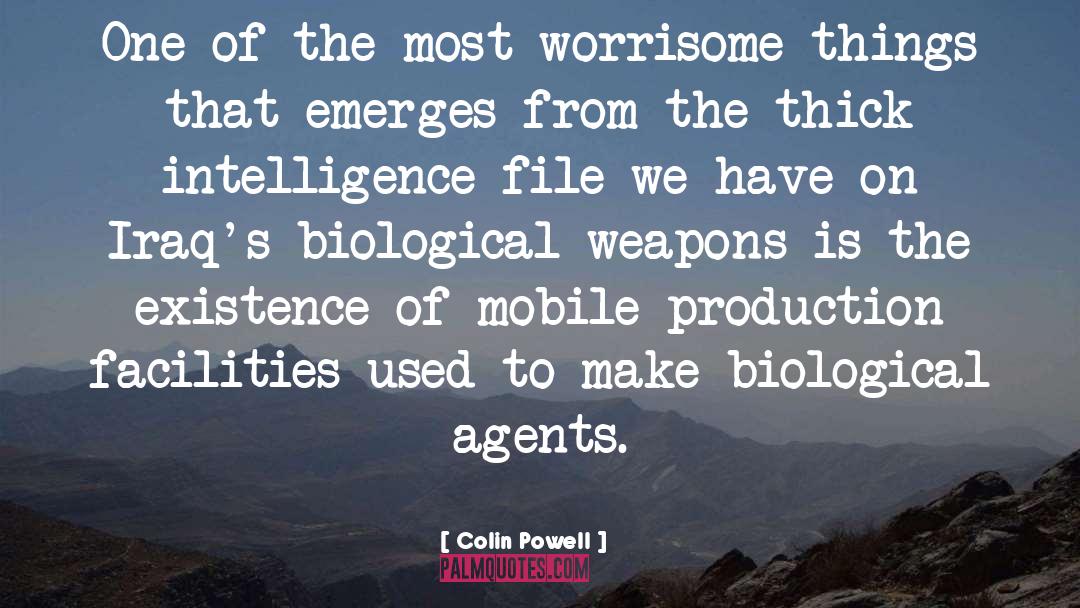 Worrisome quotes by Colin Powell