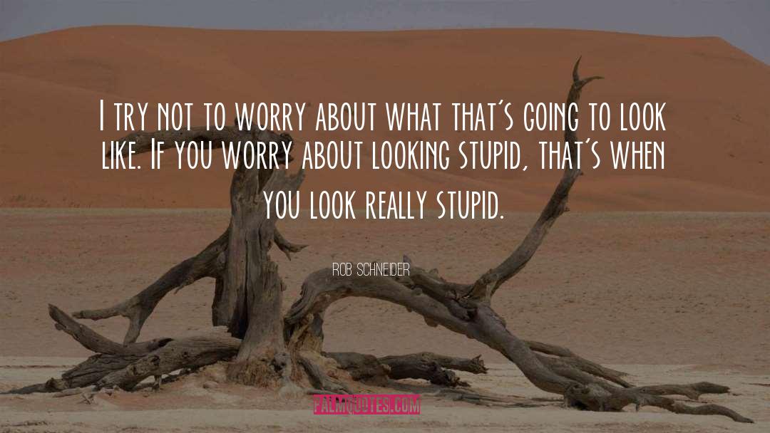 Worry Less quotes by Rob Schneider