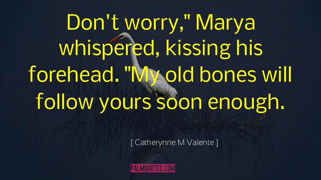 Worry Less quotes by Catherynne M Valente