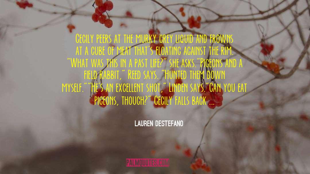 Worrying About The Past quotes by Lauren DeStefano