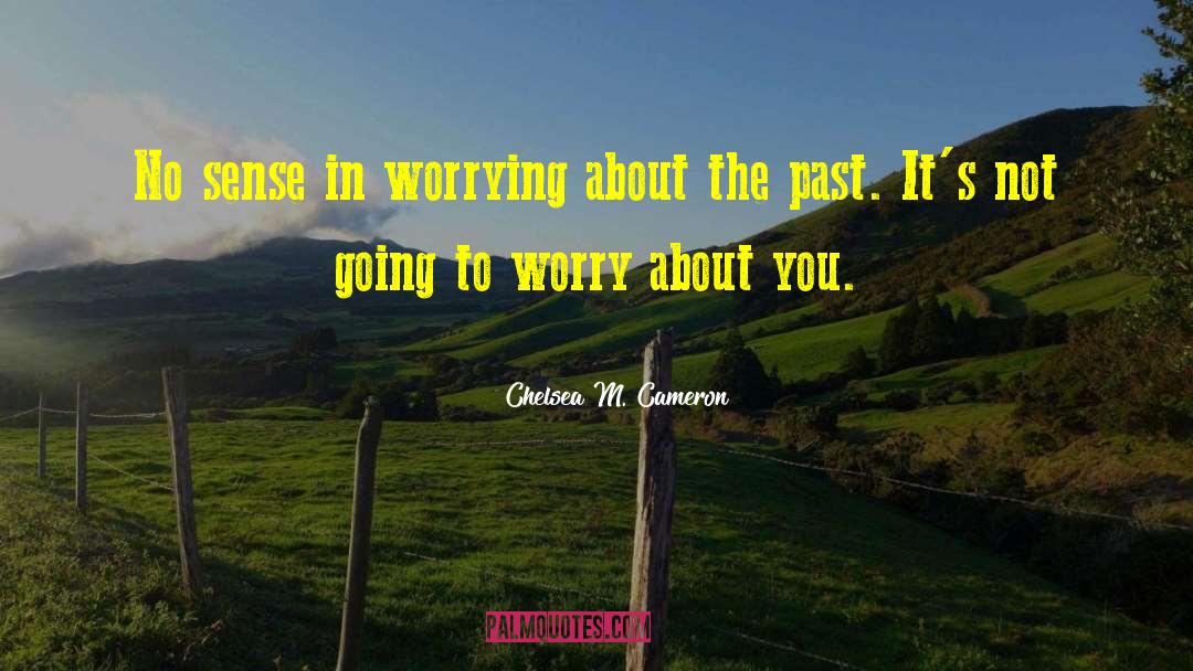 Worrying About The Past quotes by Chelsea M. Cameron