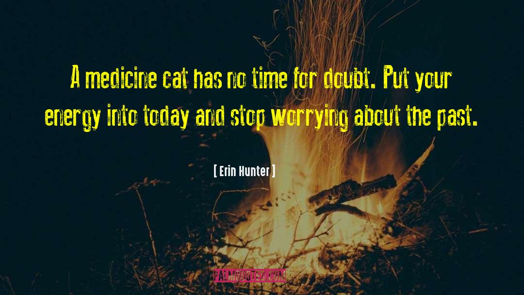 Worrying About The Past quotes by Erin Hunter