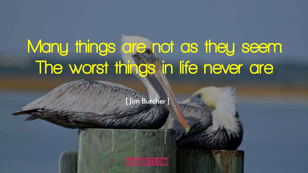 Worst Things In Life quotes by Jim Butcher