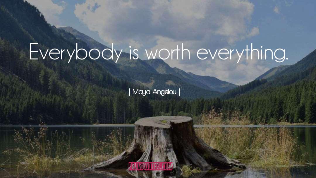 Worth Everything quotes by Maya Angelou