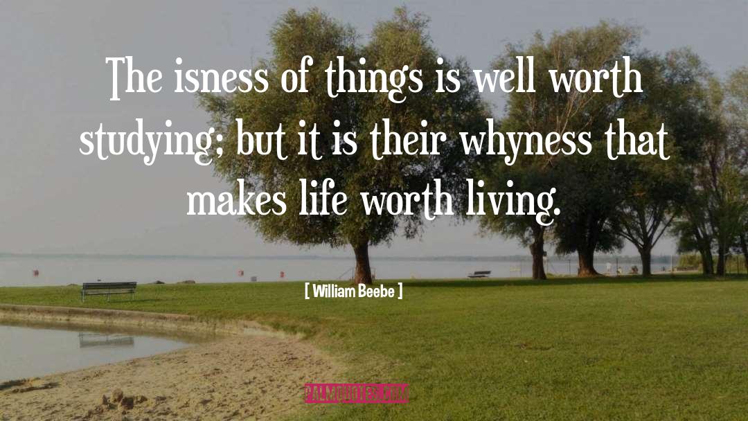 Worth Living quotes by William Beebe