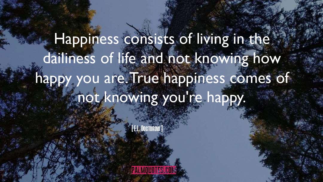Worthless Life quotes by E.L. Doctorow