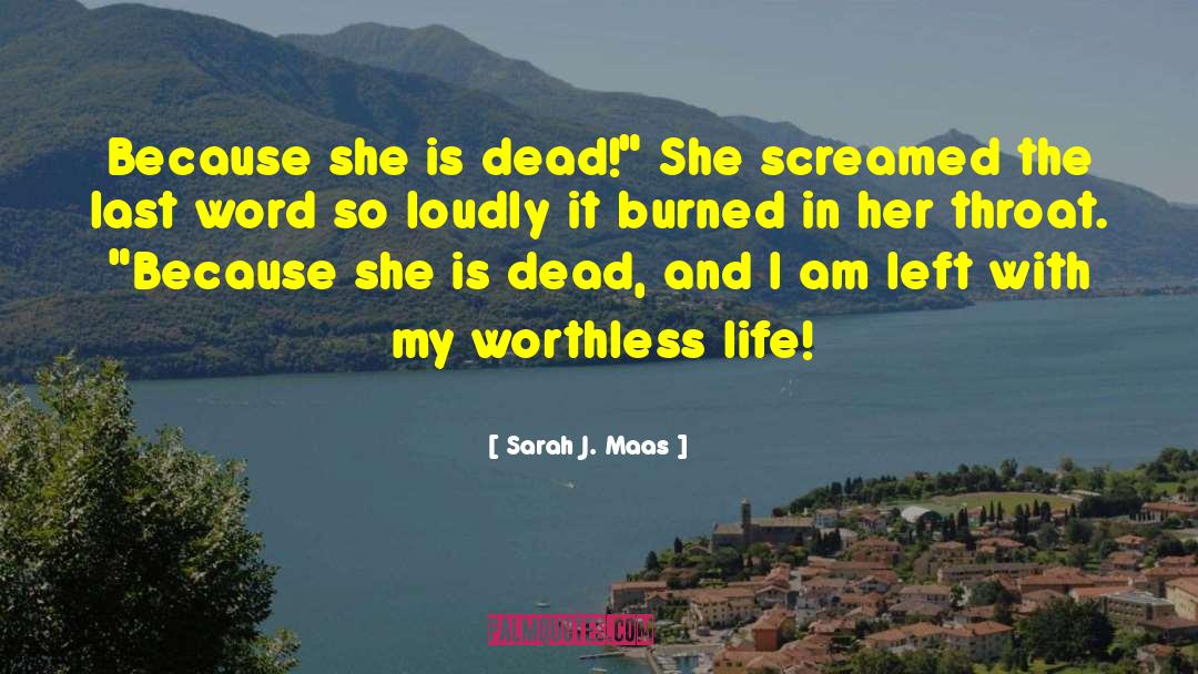 Worthless Life quotes by Sarah J. Maas