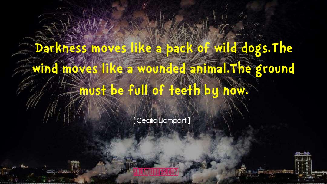 Wounded Animal quotes by Cecilia Llompart