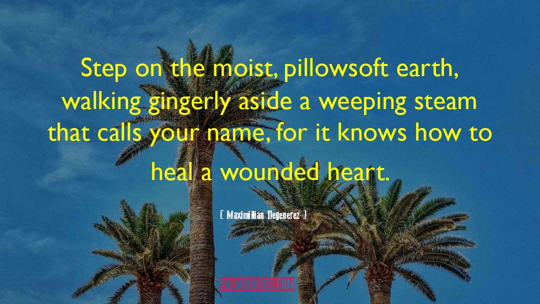 Wounded Heart quotes by Maximillian Degenerez