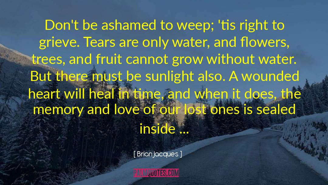 Wounded Heart quotes by Brian Jacques
