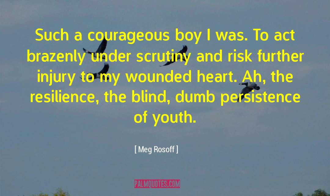 Wounded Heart quotes by Meg Rosoff