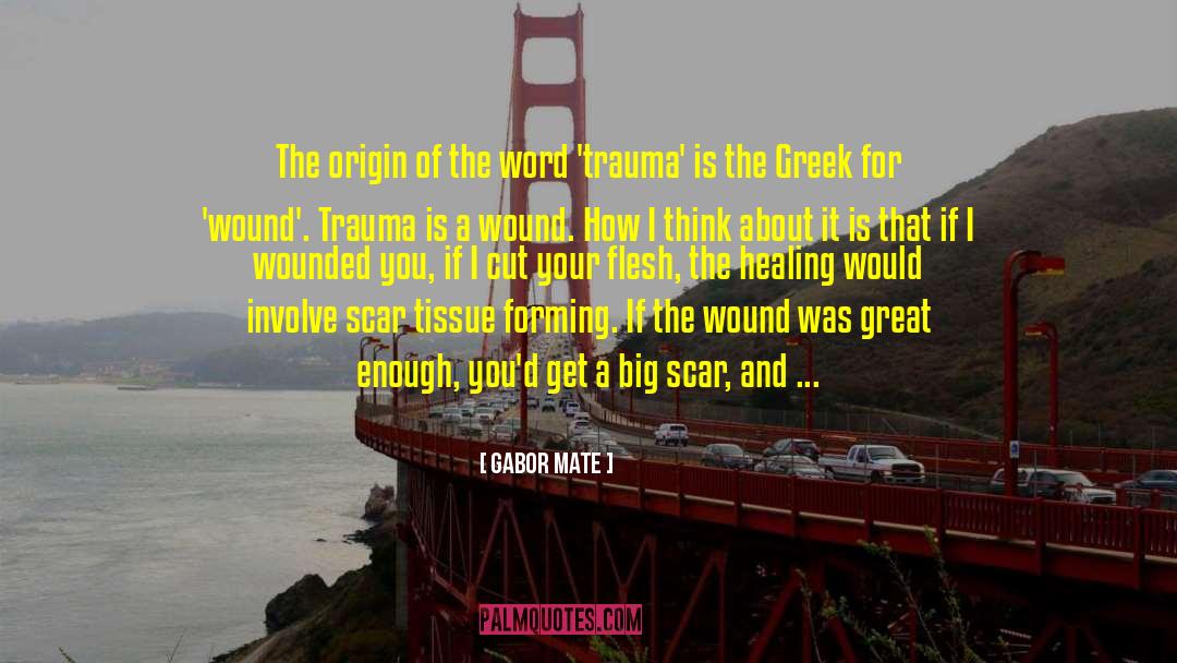 Wounded Veterans quotes by Gabor Mate