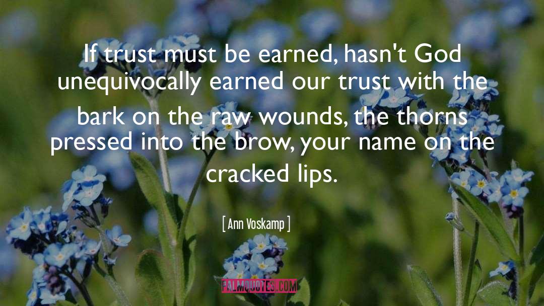 Wounds quotes by Ann Voskamp