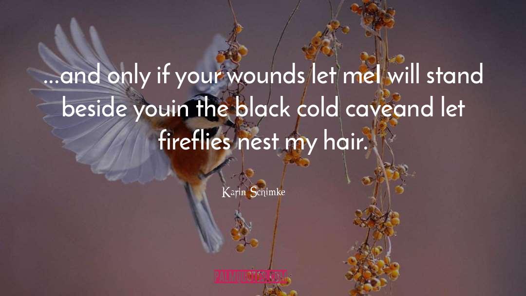 Wounds quotes by Karin Schimke