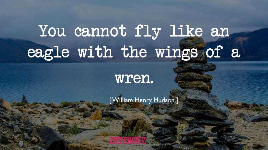 Wren quotes by William Henry Hudson
