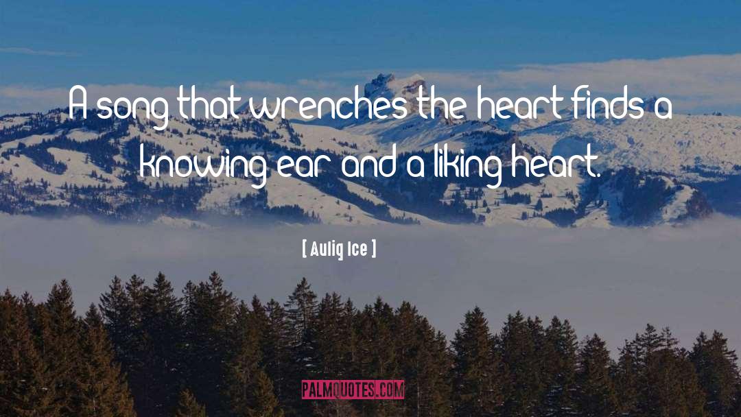 Wrenches quotes by Auliq Ice